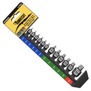 12pcs Dual Drive Low Profile Torx Plus Socket Set - SCSK002